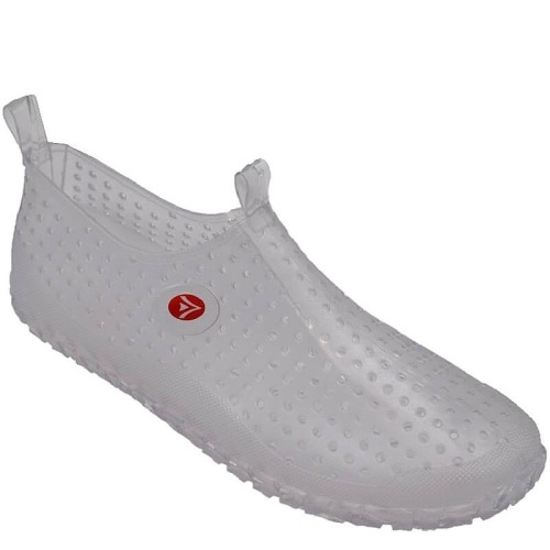 G1336D Sea Shoe Transparent