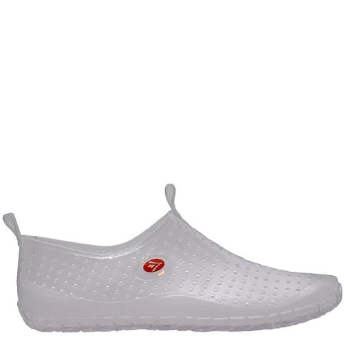 G1336D Sea Shoe Transparent