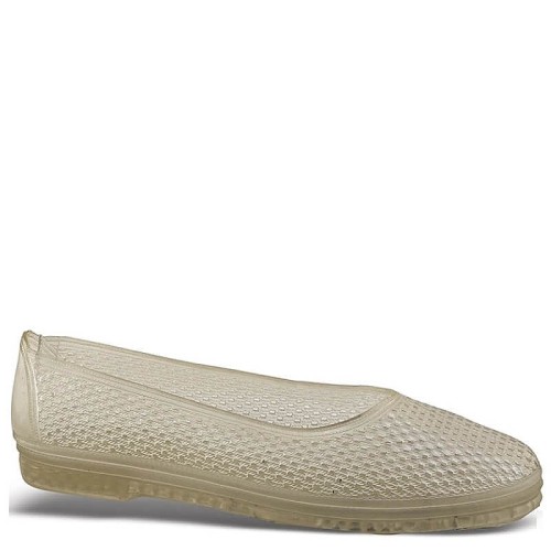 G1593D Sea Shoe Transparent