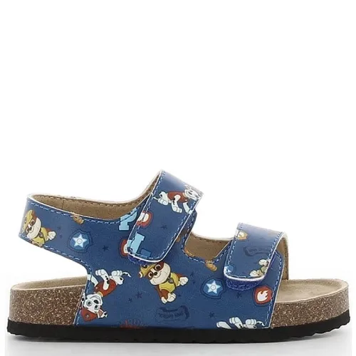 P1004BL Αγορίστικο Ανατομικό Πέδιλο PAW PATROL Μπλε P1004BL Αγορίστικο Ανατομικό Πέδιλο PAW PATROL Μπλε